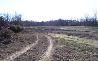 Pond Work by Arentz Enterprises